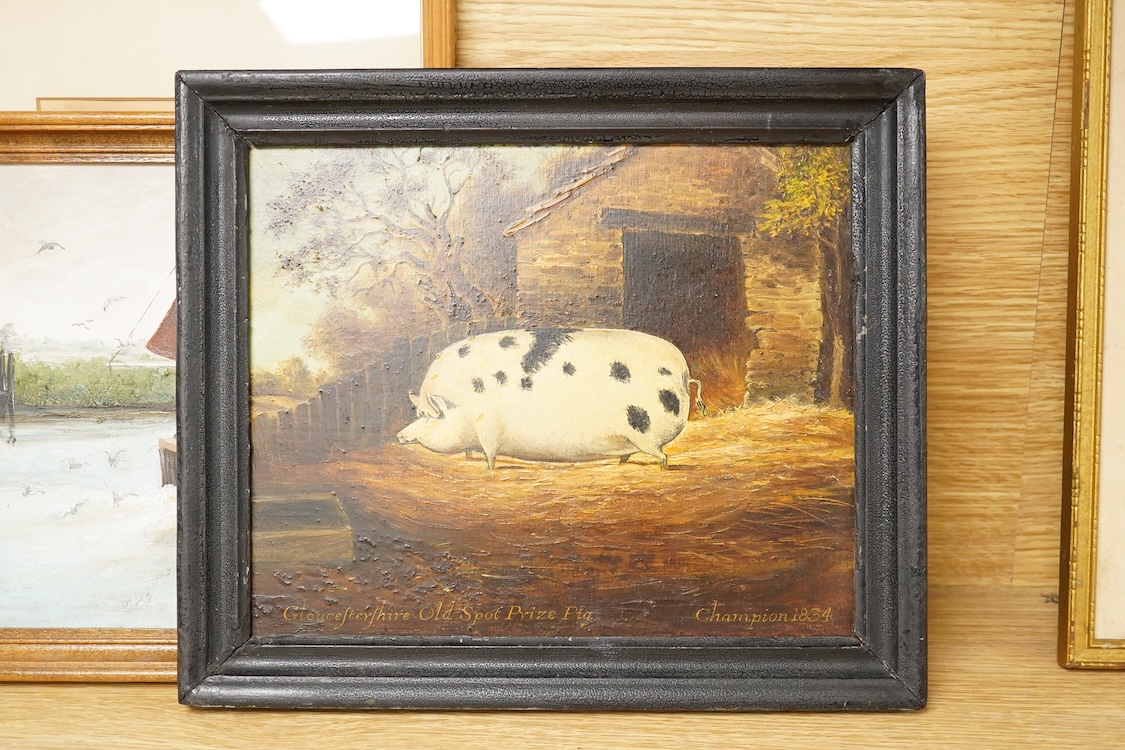 Naive School, Study of a Gloucestershire Old Spot Prize Pig, inscribed ‘Champion 1834’, oil on board, together with an etching and an oil, ‘Lowestoft Fishing Boat’, largest 19 x 39cm